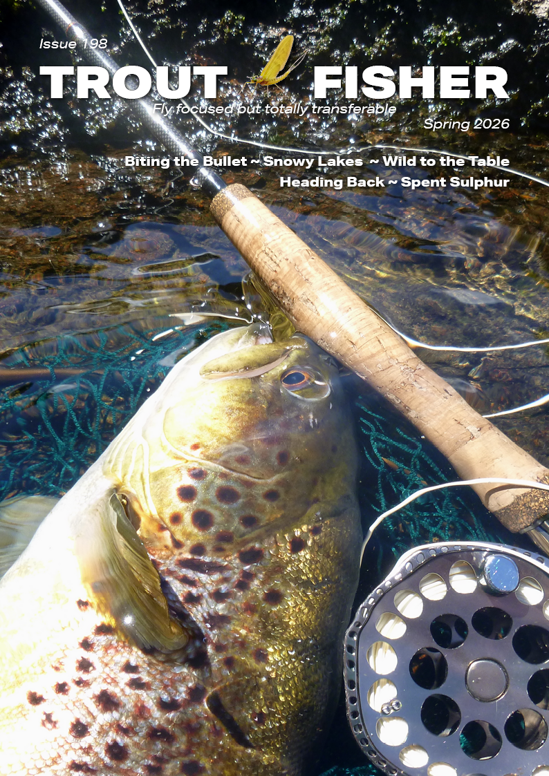 The latest issue's cover